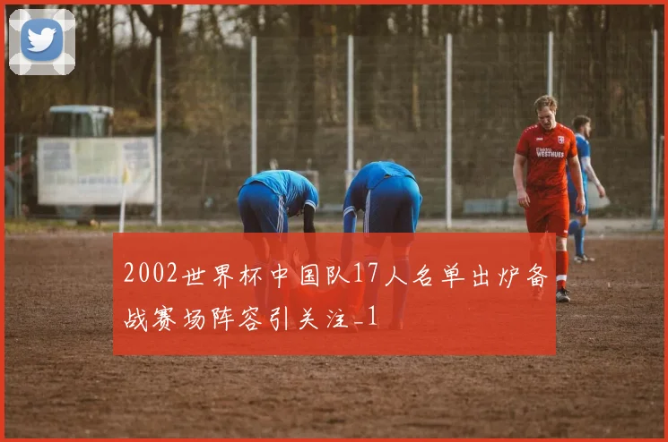 2002世界杯中国队17人名单出炉备战赛场阵容引关注_1