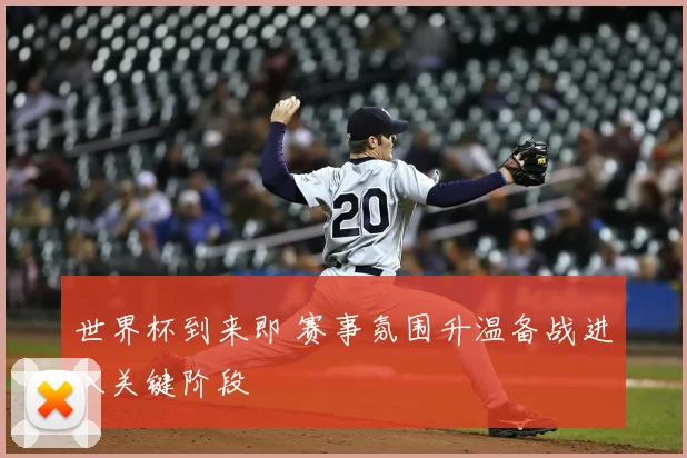 世界杯到来即 赛事氛围升温备战进入关键阶段
