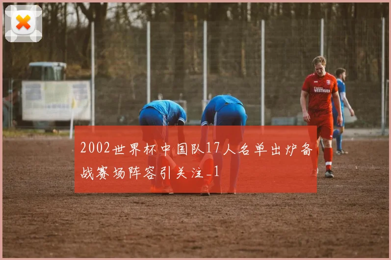 2002世界杯中国队17人名单出炉备战赛场阵容引关注_1