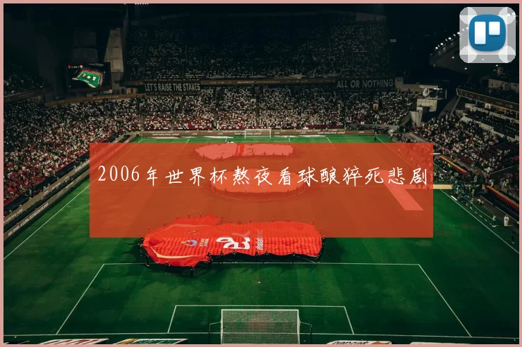 2006年世界杯熬夜看球酿猝死悲剧