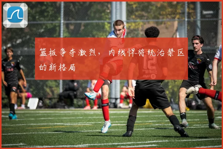 篮板争夺激烈，内线悍将统治禁区的新格局