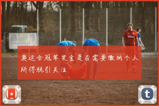 奥运会冠军奖金是否需要缴纳个人所得税引关注