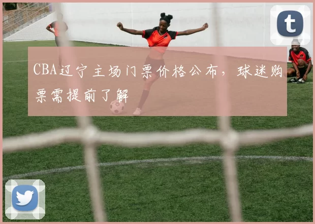 CBA辽宁主场门票价格公布，球迷购票需提前了解