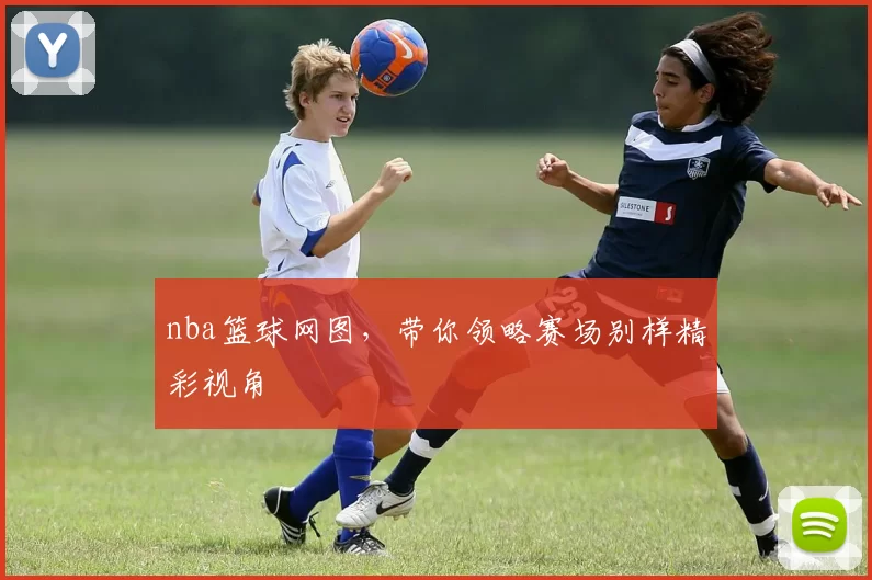 nba篮球网图,带你领略赛场别样精彩视角