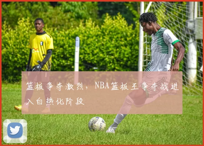 篮板争夺激烈,NBA篮板王争夺战进入白热化阶段