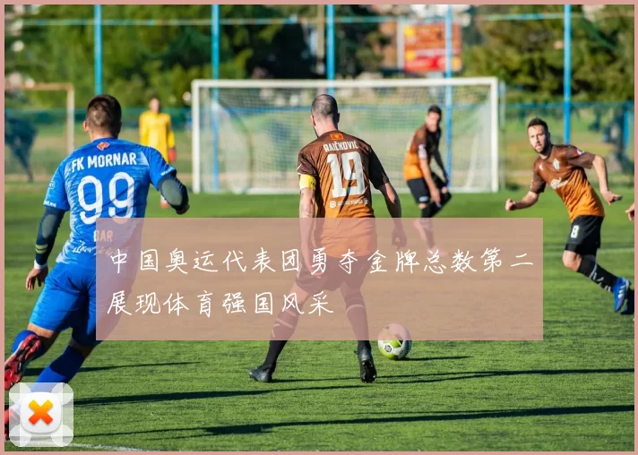 中国奥运代表团勇夺金牌总数第二展现体育强国风采